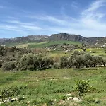 Catalina רונדה